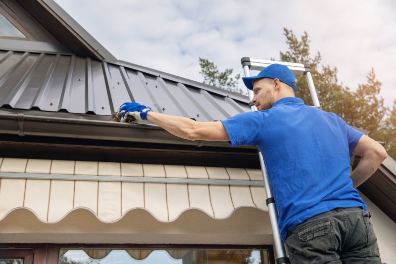 Clogged Gutter Clearing in Fredericksburg, VA