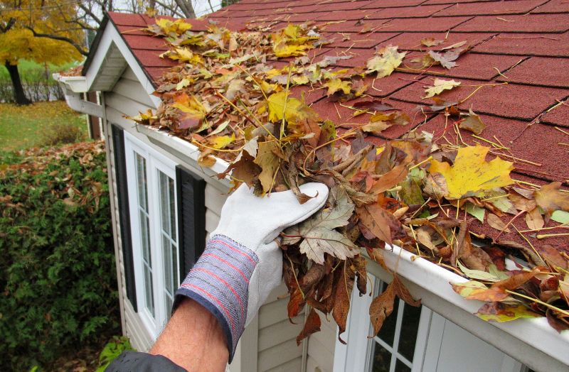 Gutter Leaves Removal in Annapolis, MD
