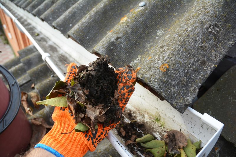 Gutter Pine Needle Removal in Longmont, CO