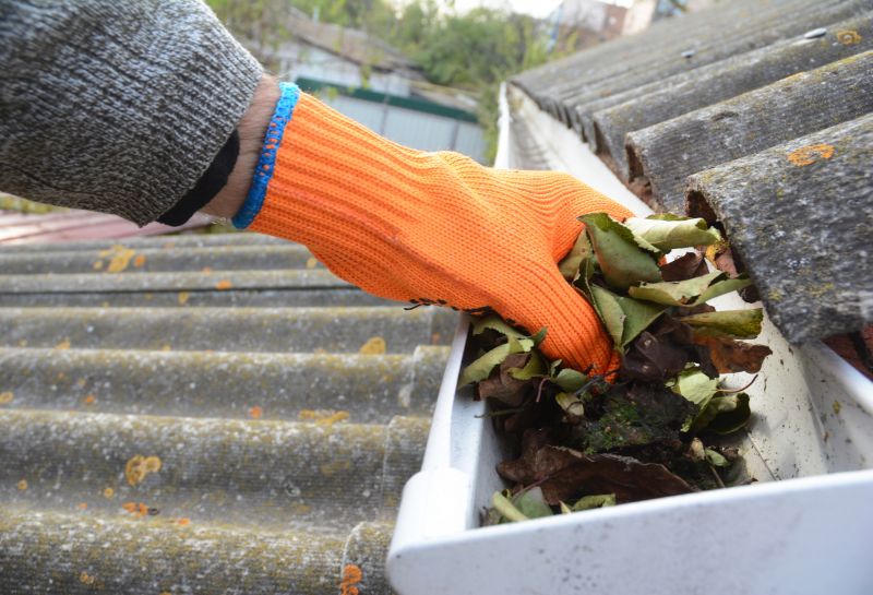 Gutter Pine Needle Removal in Rochester, NY