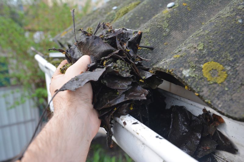 Gutter Pine Needle Removal in Frederick, MD