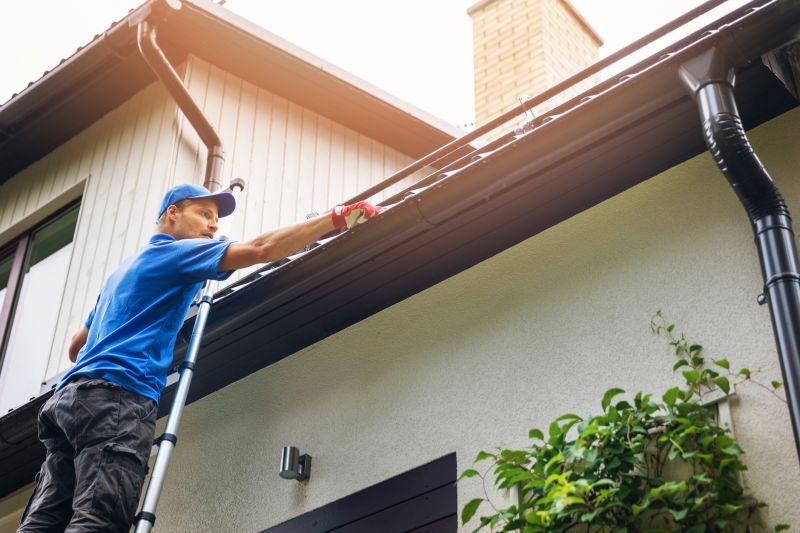Roof Gutter Cleaning in Fredericksburg, VA